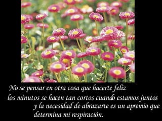No se pensar en otra cosa que hacerte feliz  los minutos se hacen tan cortos cuando estamos juntos  y la necesidad de abrazarte es un apremio que determina mi respiración. 