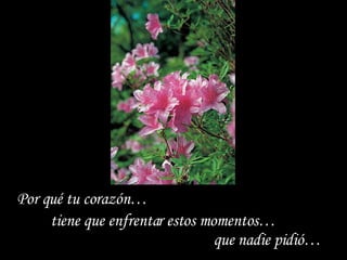 Por qué tu corazón…  tiene que enfrentar estos momentos…  que nadie pidió…  