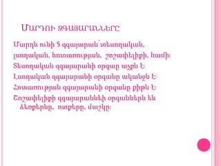 ՄԱՐԴՈՒ ԶԳԱՅԱՐԱՆՆԵՐԸ
Մարդն ունի 5 զգայարան՝տեսողական,
լսողական, հոտառության, շոշափելիքի, համի։
Տեսողական զգայարանի օրգաը աչքն է։
Լսողական զգայարանի օրգանը ականջն է։
Հոտառության զգայարանի օրգանը քիթն է։
Շոշափելիքի զգայարաննեի օրգաններն են
ձեռքերնը, ոտքերը, մաշկը։
 