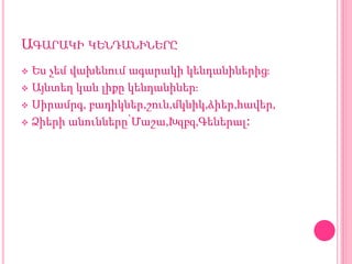 ԱԳԱՐԱԿԻ ԿԵՆԴԱՆԻՆԵՐԸ
 Ես չեմ վախենում ագարակի կենդանիներից։
 Այնտեղ կան լիքը կենդանիներ։
 Սիրամրգ, բադիկներ,շուն,մկնիկ,ձիեր,հավեր,
 Ձիերի անունները՝Մաշա,Խզբզ,Գեներալ։
 