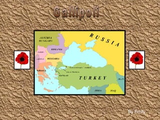 Gallipoli By Emily 