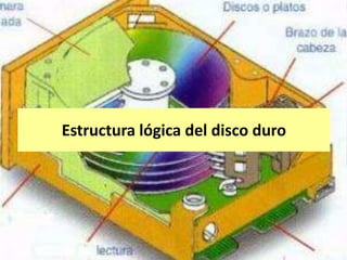 Estructura lógica del disco duro
 