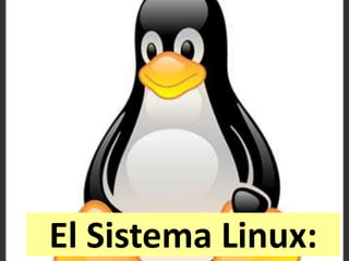 El Sistema Linux:
 
