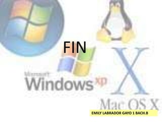 FIN


      EMILY LABRADOR GAYO 1 BACH.B
 