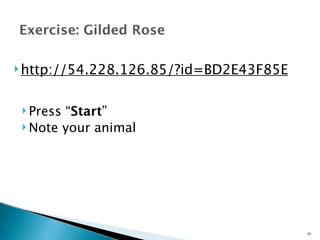 Exercise: Gilded Rose 
 Press “Start” 
Note your animal 
30 
http://54.228.126.85/?id=BD2E43F85E 
