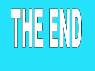 THE END 