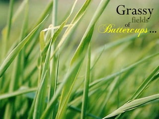 Emily Dickinson Presentation