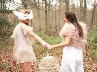 Emily Dickinson Presentation