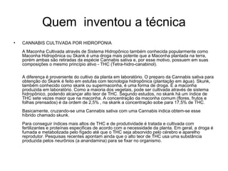 Quem inventou a técnica
•   CANNABIS CULTIVADA POR HIDROPONIA
    A Maconha Cultivada através de Sistema Hidropônico também conhecida popularmente como
    Maconha Hidropônica ou Skank é uma droga mais potente que a Maconha plantada na terra,
    porém ambas são retiradas da espécie Cannabis sativa e, por esse motivo, possuem em suas
    composições o mesmo princípio ativo - THC (Tetra-hidro-canabinol).

    A diferença é proveniente do cultivo da planta em laboratório. O preparo da Cannabis sativa para
    obtenção do Skank é feito em estufas com tecnologia hidropônica (plantação em água). Skunk,
    também conhecido como skank ou supermaconha, é uma forma de droga. É a maconha
    produzida em laboratório. Como a maioria dos vegetais, pode ser cultivada através de sistema
    hidropônico, podendo alcançar alto teor de THC. Segundo estudos, no skank há um índice de
    THC sete vezes maior que na maconha. A concentração da maconha comum (flores, frutos e
    folhas prensados) é da ordem de 2,5% , na skank a concentração sobe para 17,5% de THC.
    Basicamente, cruzando-se uma Cannabis sativa com uma Cannabis indica obtem-se esse
    híbrido chamado skunk.
    Para conseguir índices mais altos de THC e de produtividade é tratada e cultivada com
    fertilizantes e proteínas especificas de acordo com a necessidade da planta. Em geral, a droga é
    fumada e metabolizada pelo fígado até que o THC seja absorvido pelo cérebro e aparelho
    reprodutor. Pesquisas recentes apontam ainda que o alto teor de THC usa uma substância
    produzida pelos neurônios (a anandamina) para se fixar no organismo.
 