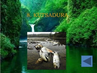 ccc
8. KUTSADURA
 