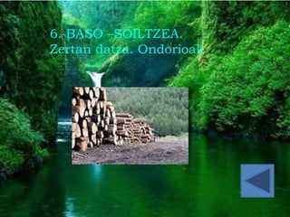 ccc
6. BASO –SOILTZEA.
Zertan datza. Ondorioak
 