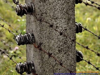 This image is used under a CC license from
http://www.flickr.com/photos/polandeze/4058455779/sizes/l/in/photostream/
 