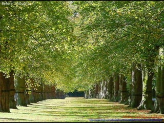 Before I thought…
This image is used under a CC license from
http://www.flickr.com/photos/lincolnian/300262799/sizes/o/in/photostream/
 