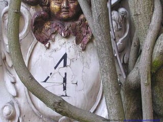 Used with a CC license from:Used with a CC license from: http://www.flickr.com/photos/e3000/94662359/