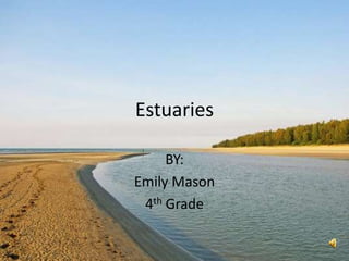 Estuaries

     BY:
Emily Mason
 4th Grade
 