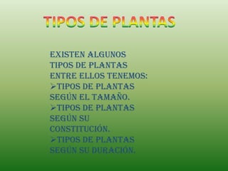 Existen algunos
tipos de plantas
entre ellos tenemos:
Tipos de plantas
según el tamaño.
Tipos de plantas
según su
constitución.
Tipos de plantas
según su duración.
 