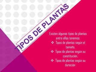 Existen algunos tipos de plantas
      entre ellos tenemos:
  Tipos de plantas según el
               tamaño.
  Tipos de plantas según su
            constitución.
  Tipos de plantas según su
              duración.
 