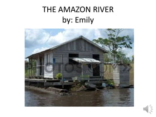 THE AMAZON RIVER
     by: Emily
 