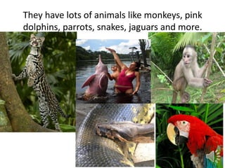 They have lots of animals like monkeys, pink
dolphins, parrots, snakes, jaguars and more.
 