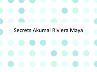 Secrets Akumal Riviera Maya
 