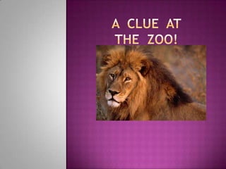 A  Clue  at  the  zoo! 
