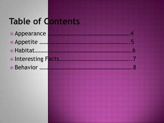 Table of ContentsAppearance ………………….…………………………….4Appetite ……………………………………………………..5Habitat………………………………………………………….6Interesting Facts…………………………………………..7Behavior ……………………………………………………….8