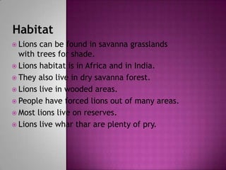 HabitatLions can be found in savanna grasslands with trees for shade.Lions habitat is in Africa and in India.They also live in dry savanna forest.Lions live in wooded areas.People have forced lions out of many areas.Most lions live on reserves.Lions live whar thar are plenty of pry.