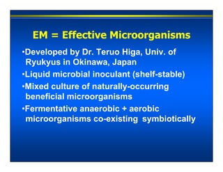 Microbial Inoculants: Effective Microorganisms (EM) & Indigenous ...