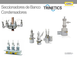 h u b b e l l p o w e r s y s t e m s . c o m
SeccionadoresdeBanco
Condensadores
 