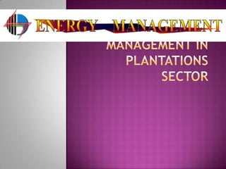 Energy Management in Plantations Sector 