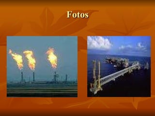 Fotos 
