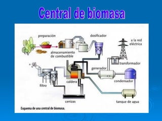 Central de biomasa 