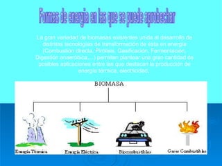 Formas de energia en las que se puede aprobechar La gran variedad de biomasas existentes unida al desarrollo de distintas tecnologías de transformación de ésta en energía (Combustión directa, Pirólisis, Gasificación, Fermentación, Digestión anaeróbica,...) permiten plantear una gran cantidad de posibles aplicaciones entre las que destacan la producción de energía térmica, electricidad,                                                                                                                                   