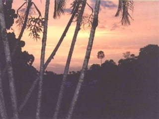 ECONOMÍA AMBIENTALSUSTENTABILIDAD DÉBILMantenimiento de la suma del “capital natural” y del capital hecho por los humanos.Una economía es sustentable (débil) si el ahorro en la economía (que es lo que permite la inversión) es mayor que la suma de las depreciaciones del “capital natural” y del capital hecho por los humanos.