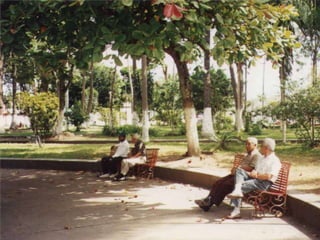 ECONOMÍA ECOLÓGICADEFINICIÓNLa oikonomia (ecología humana) es el arte y la cienciadel aprovisionamiento material del oikos.