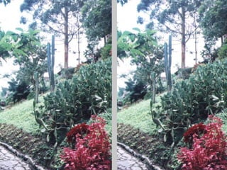 ECONOMÍA ECOLÓGICAECONOMÍA ECOLÓGICAINDICADORES FÍSICOS