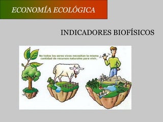 ECONOMÍA ECOLÓGICAECONOMÍA ECOLÓGICAINDICADORES FÍSICOS