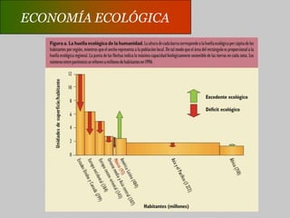 ECONOMÍA ECOLÓGICADISTRIBUCIÓN ECOLÓGICASe refiere a las asimetrías o desigualdades sociales, espaciales y temporales en el uso humano de los recursos y servicios ambientales, es decir, en el agotamiento de los recursos naturales y en la carga de contaminación.