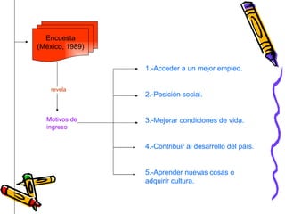 Encuesta (México, 1989) revela Motivos de ingreso 1.-Acceder a un mejor empleo. 2.-Posición social. 3.-Mejorar condiciones de vida. 4.-Contribuir al desarrollo del país. 5.-Aprender nuevas cosas o adquirir cultura. 