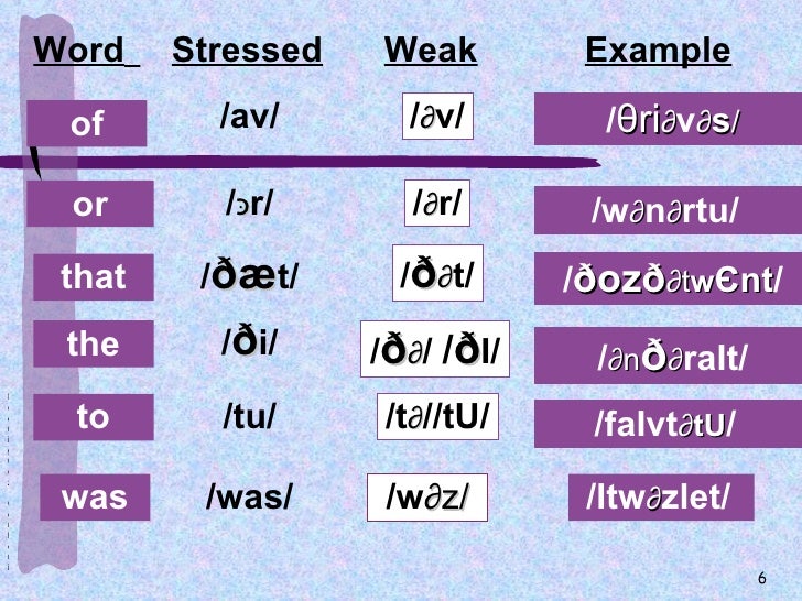 Unstressed Words Syllable Weaking Within Utterances Mariella Rodrig