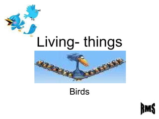 Living- things Birds RMS 