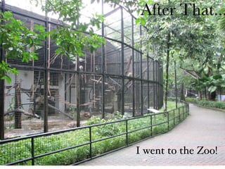 After That...
I went to the Zoo!