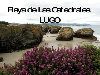 Playa de Las Catedrales
         LUG O
 