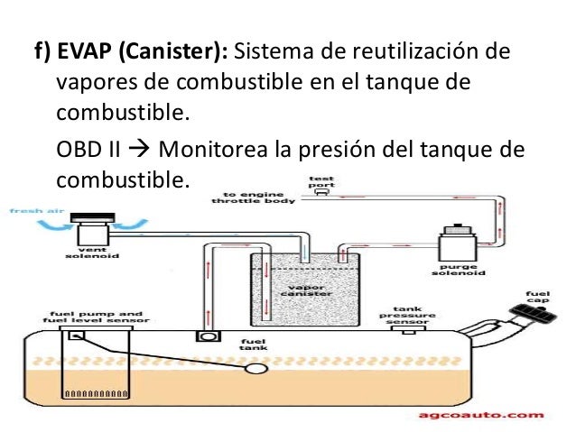 Sistema evap elementos