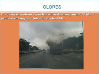 OLORES
 