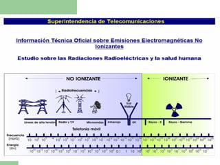 Revisión de conceptos fundamentales 