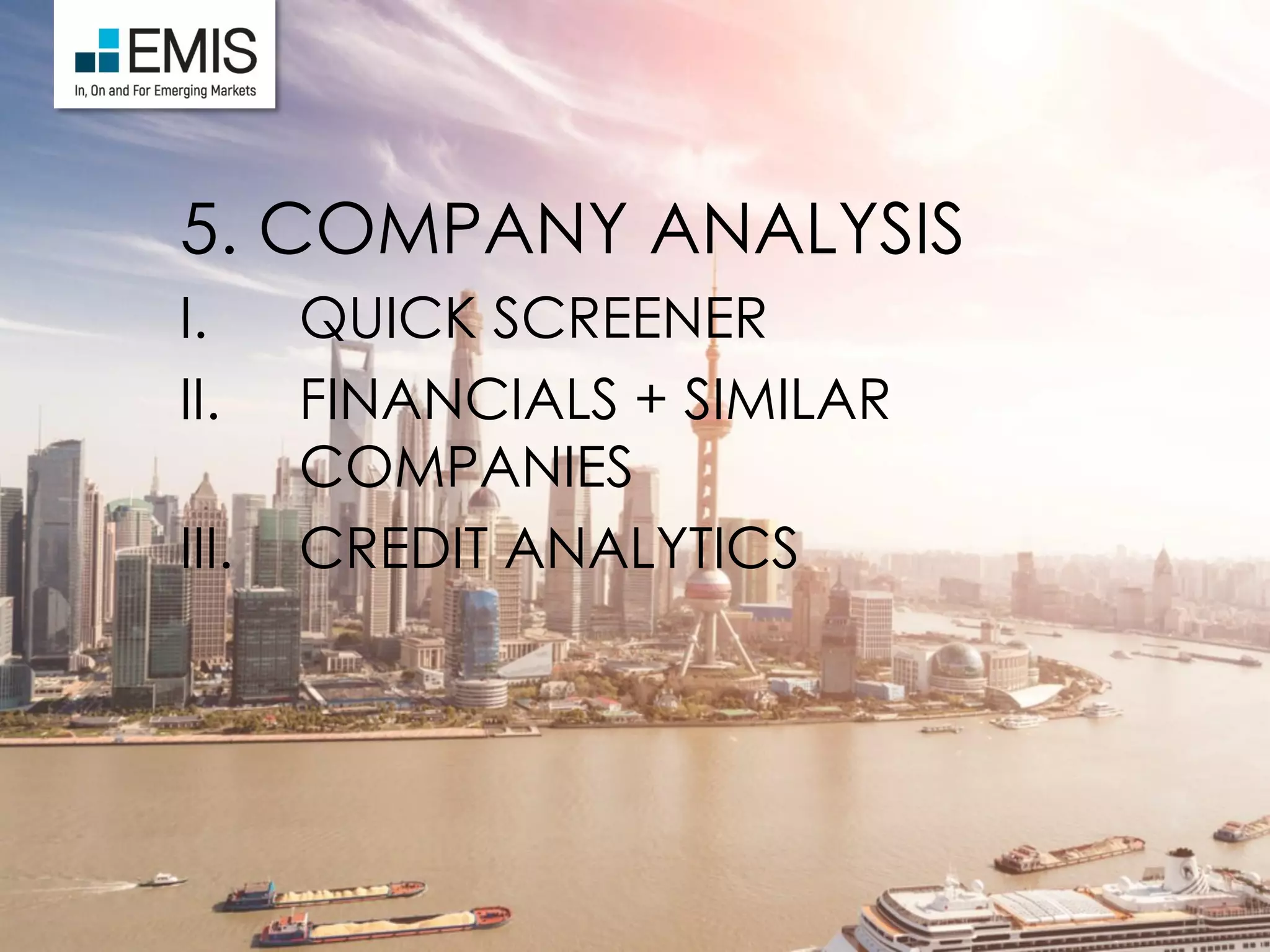 5. COMPANY ANALYSIS
I. QUICK SCREENER
II. FINANCIALS + SIMILAR
COMPANIES
III. CREDIT ANALYTICS
 