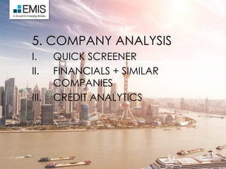5. COMPANY ANALYSIS
I. QUICK SCREENER
II. FINANCIALS + SIMILAR
COMPANIES
III. CREDIT ANALYTICS
 