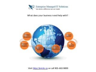What does your business need help with?
Visit http://emits.ca or call 905-602-9899
 