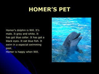 HOMER’S PET Homer’s dolphin is Will. It’s  male. It grey and white. It  has got blue collar. It has got a  black eyes. It eat blue fish. It  swim in a especial swimming  pool. Homer is happy when Will. 